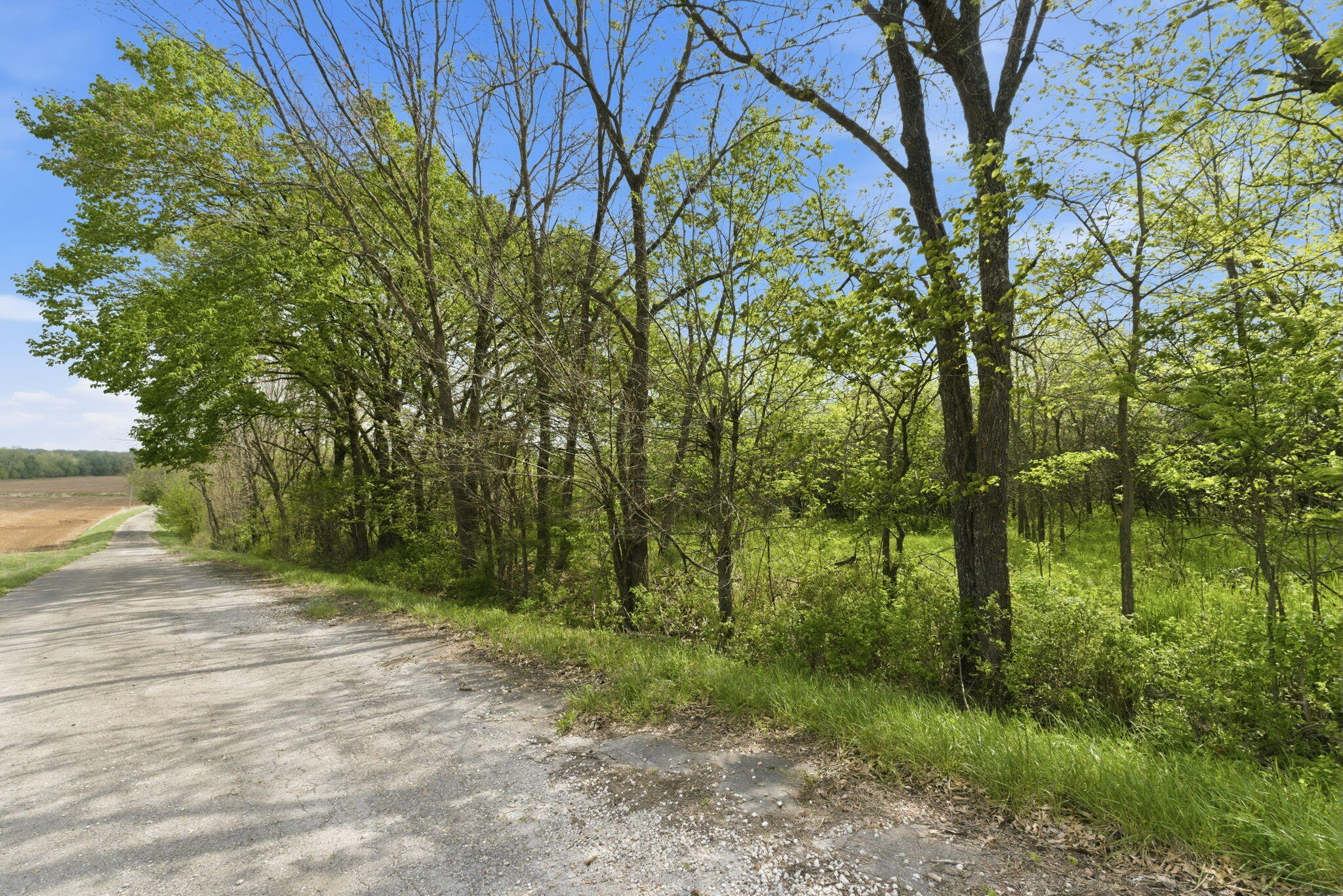 0 South Highway J Property Photo 2