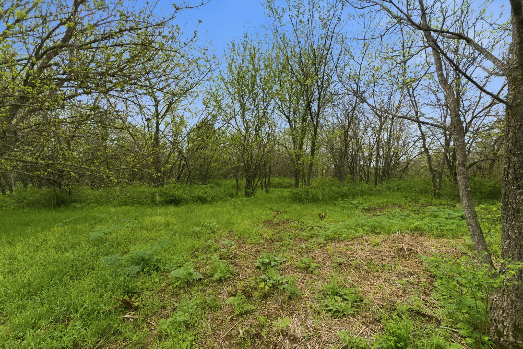 0 South Highway J Property Photo 8