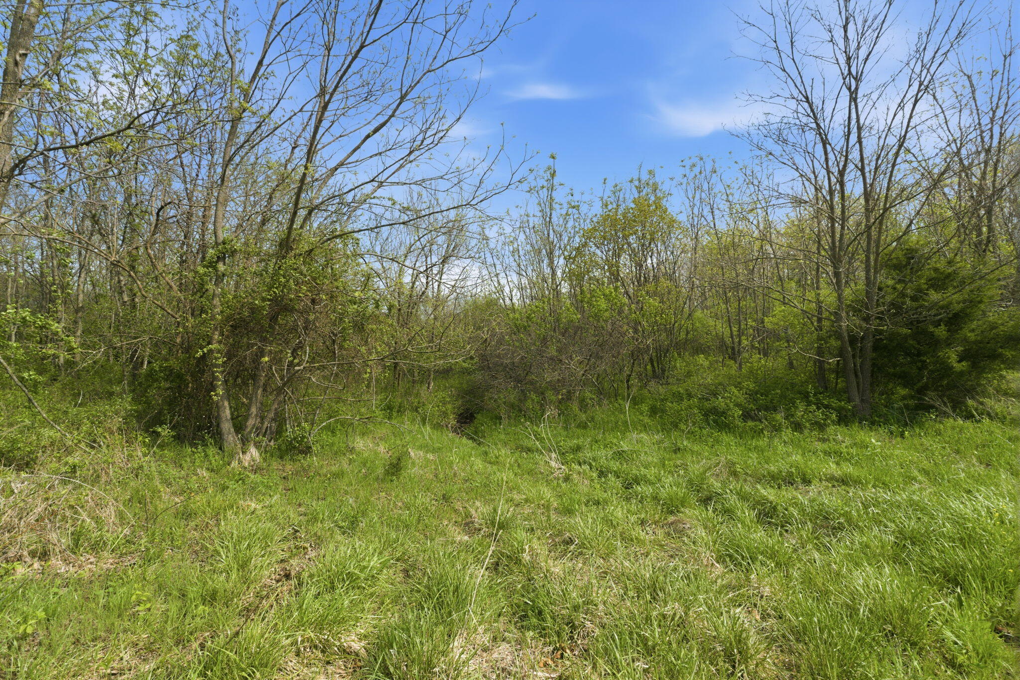 0 South Highway J Property Photo 10