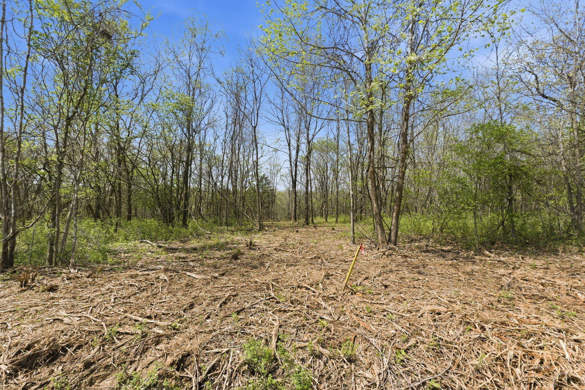 0 South Highway J Property Photo 11