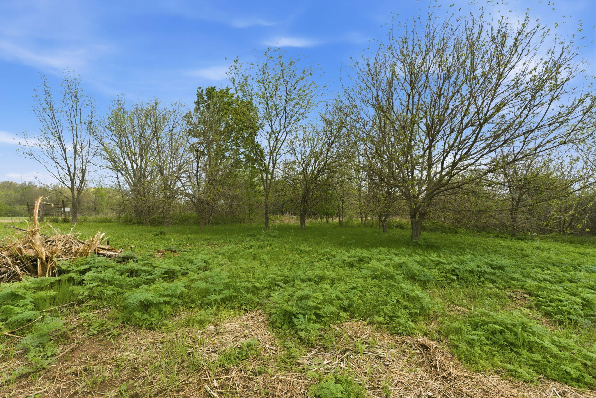 0 South Highway J Property Photo 14