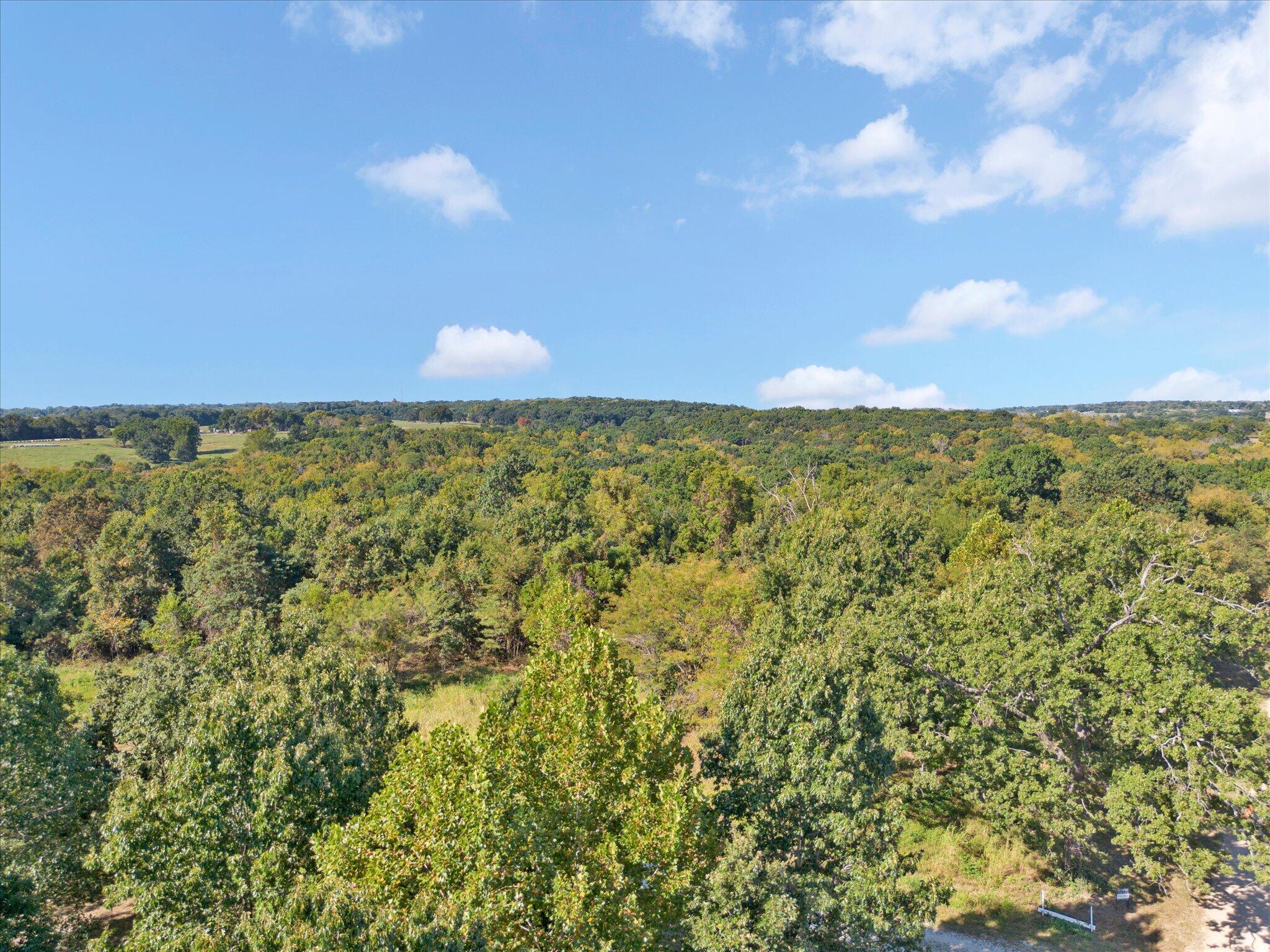 Lot 8 Ireson Estates Property Photo 19