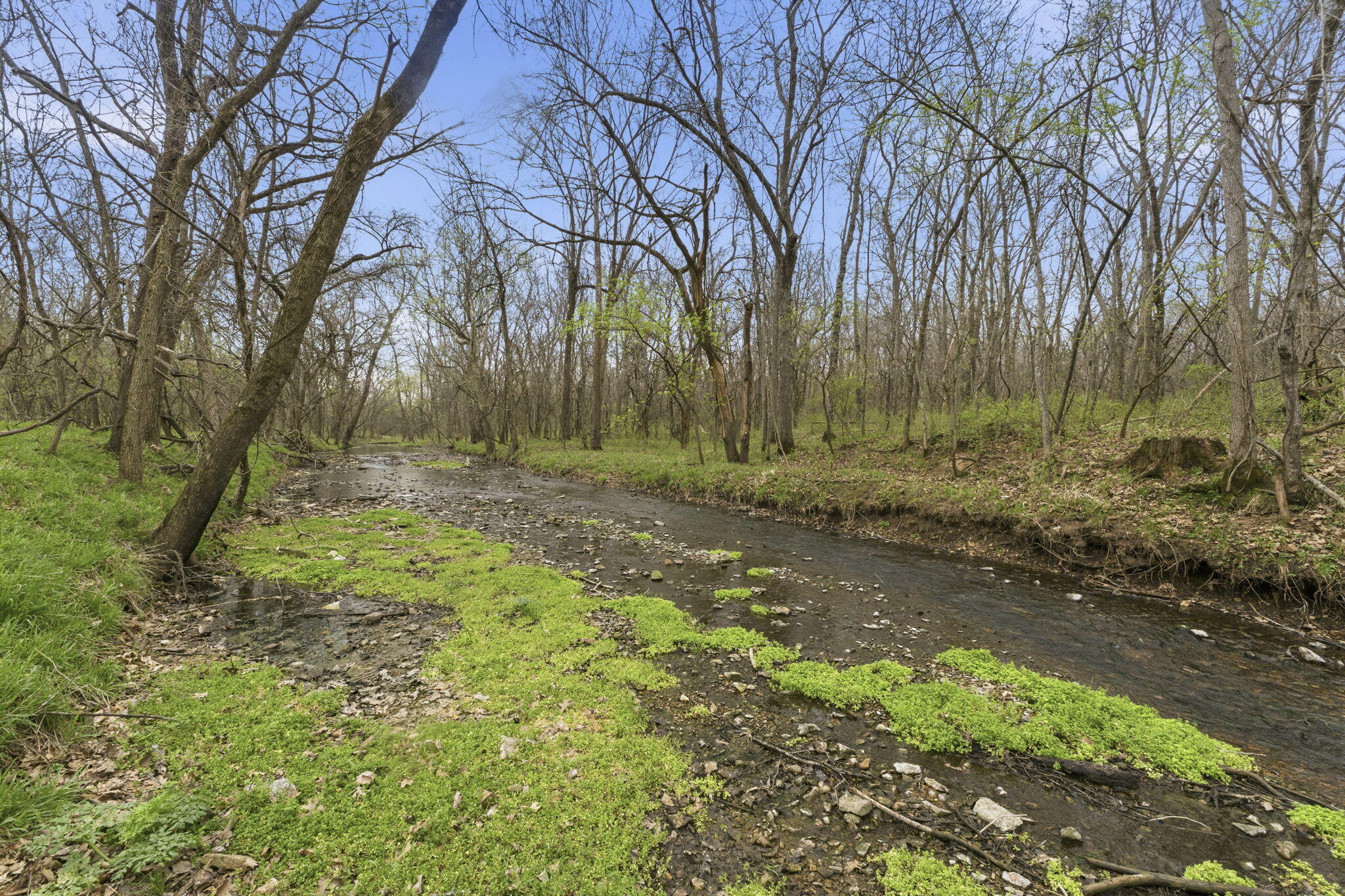 Lot 7 Ireson Estates Property Photo 2
