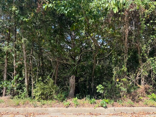 Lot 22 Rose Oneill Drive Property Photo 2