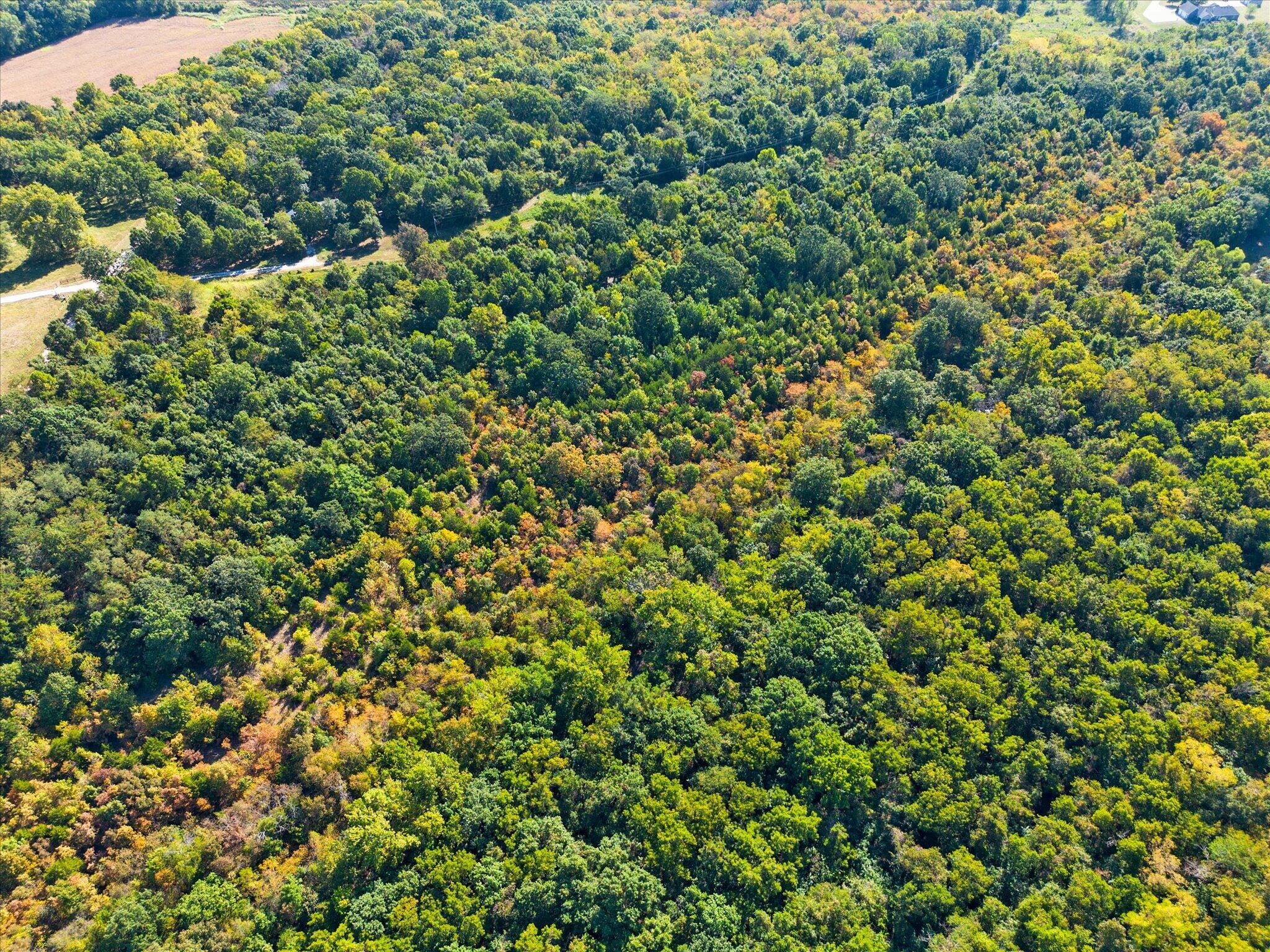 Lot 10 Ireson Estates Property Photo 17