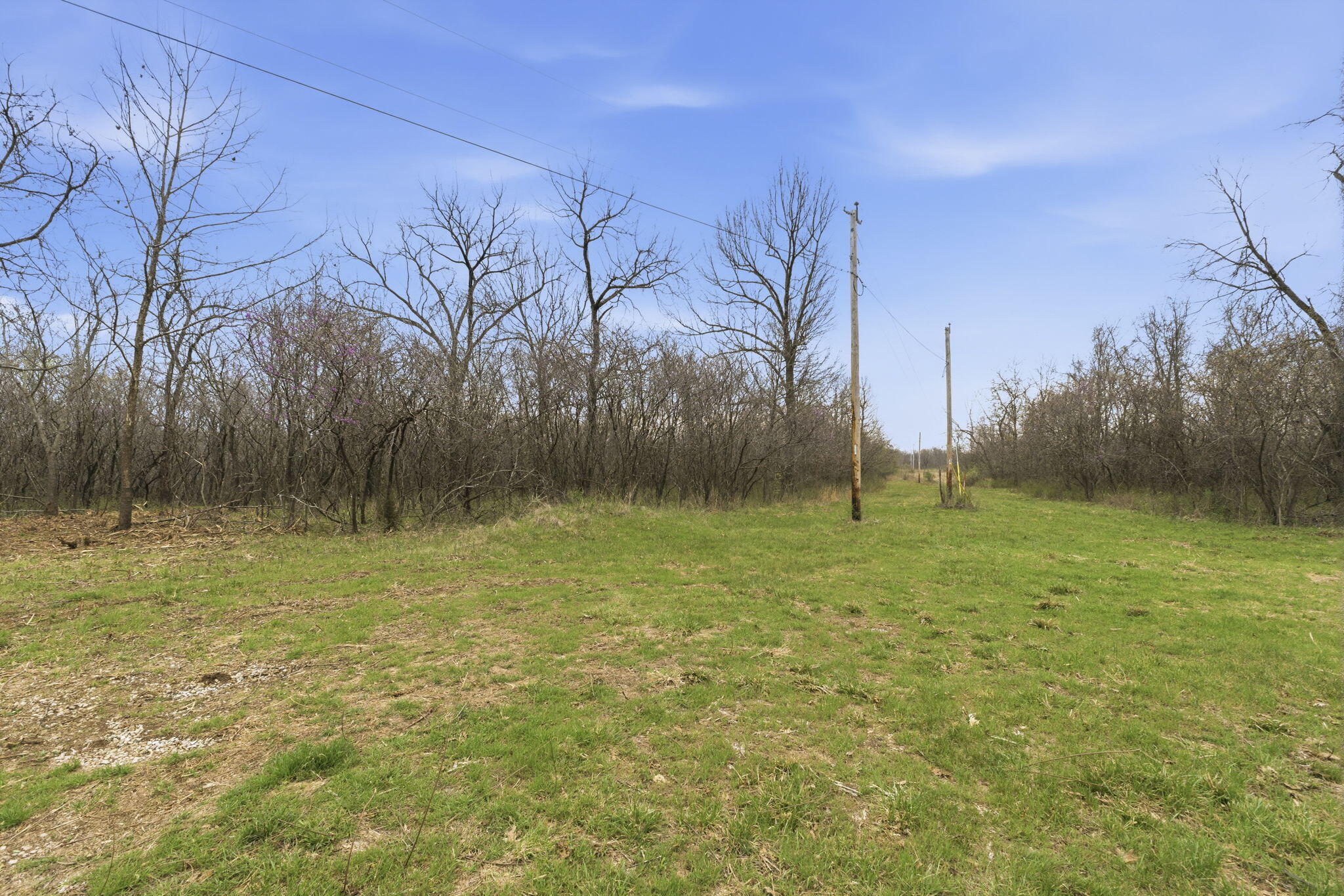 Lot 14 Ireson Estates Property Photo 4