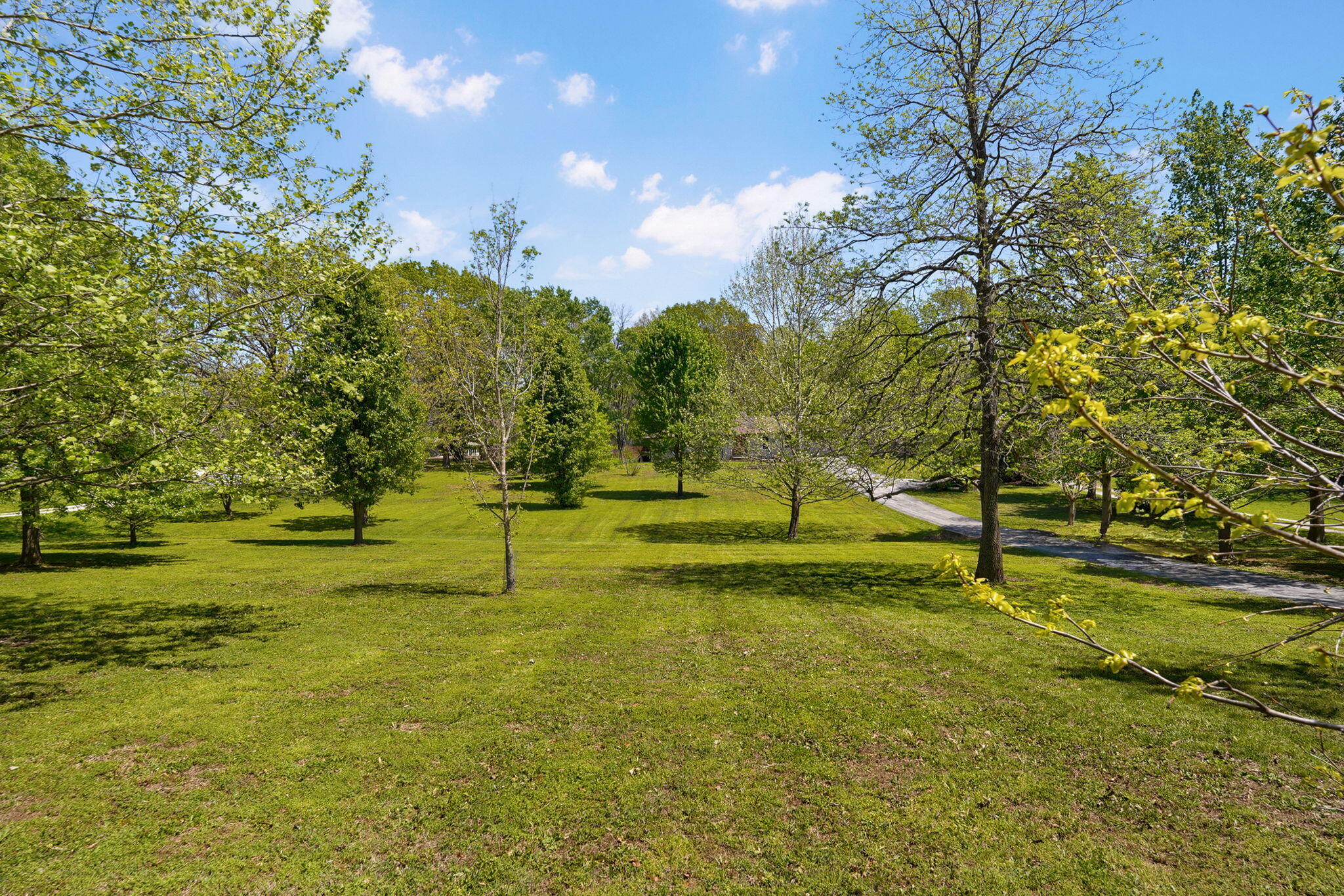 1250 South Farm Road 205 Property Photo 5