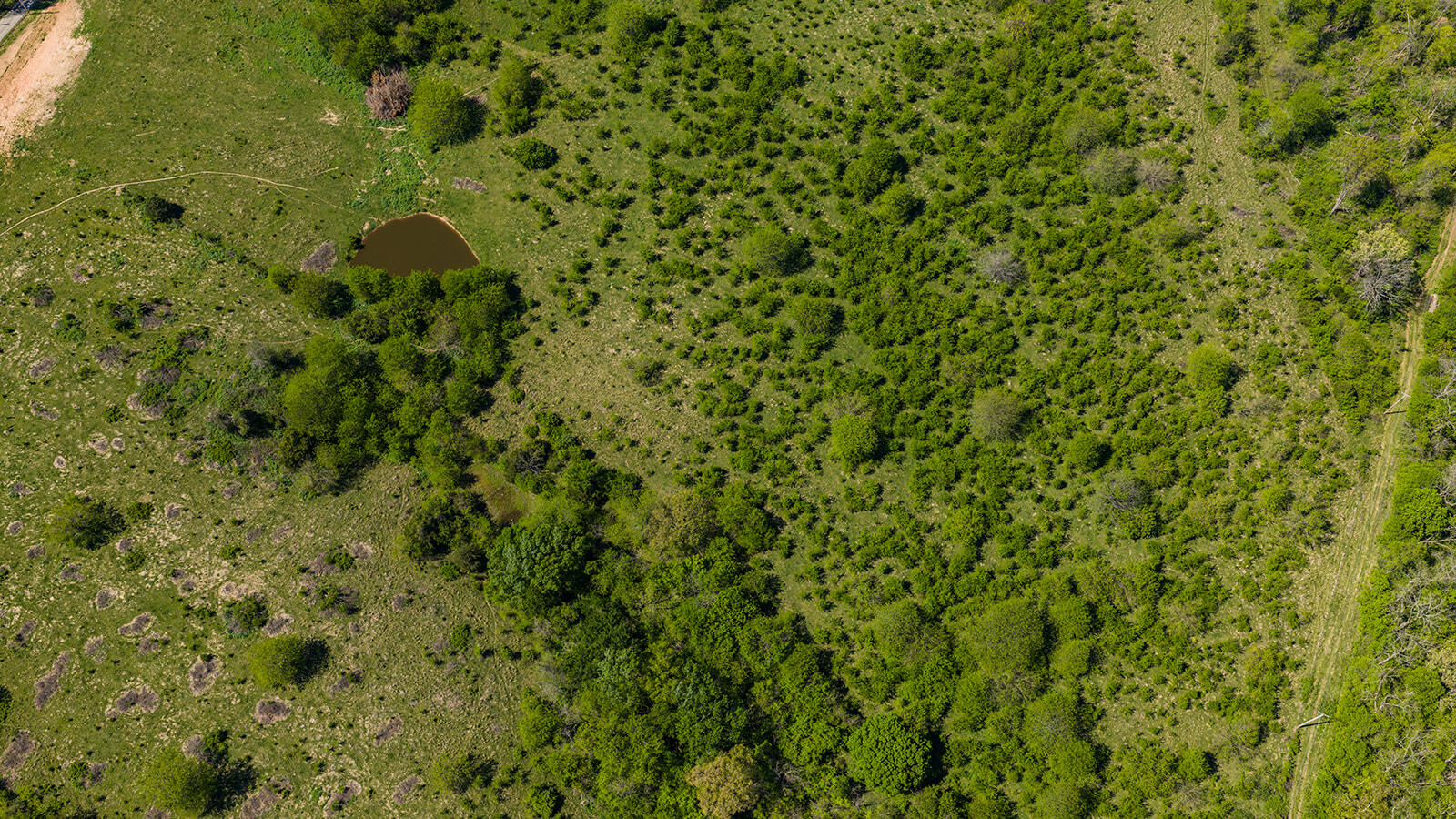 Lot 1 Muskego Road Property Photo 6