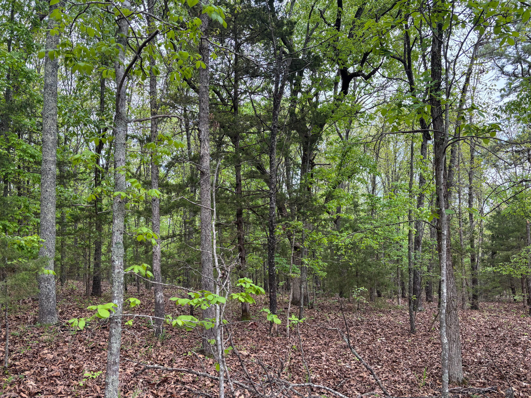 000 County Road 122 Property Photo 2