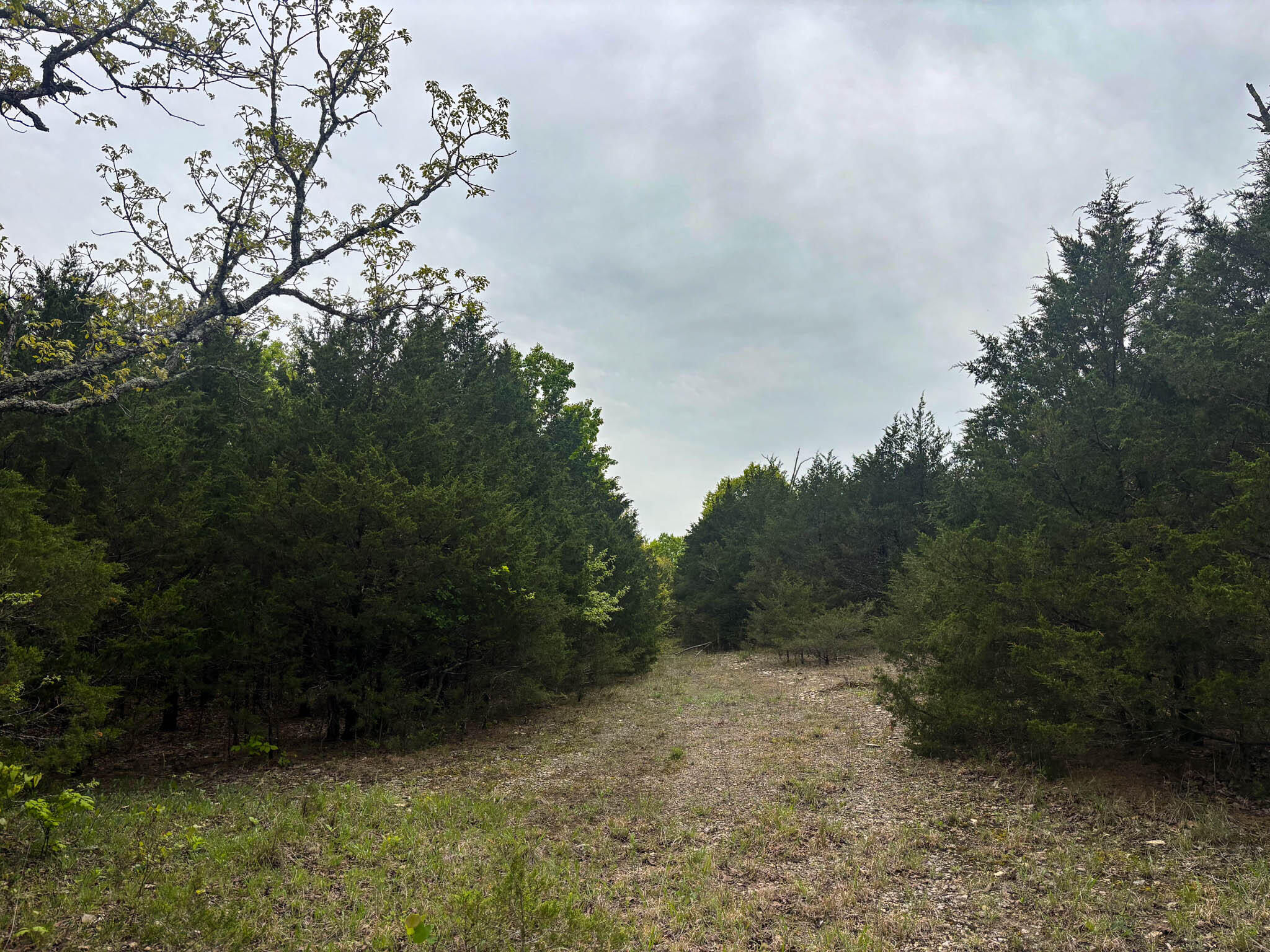 000 County Road 122 Property Photo 4