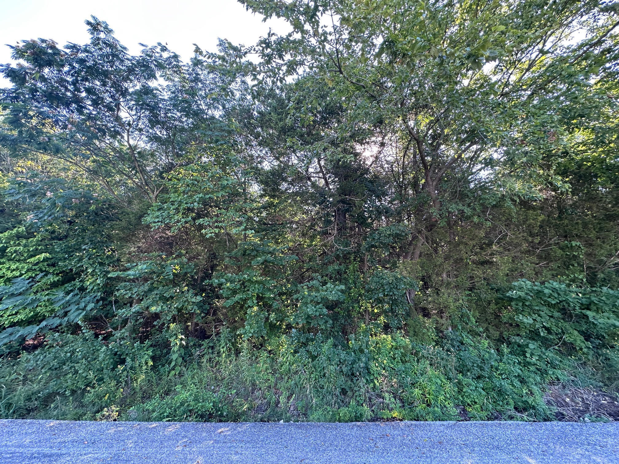 000 Hillsboro Drive Property Photo 5