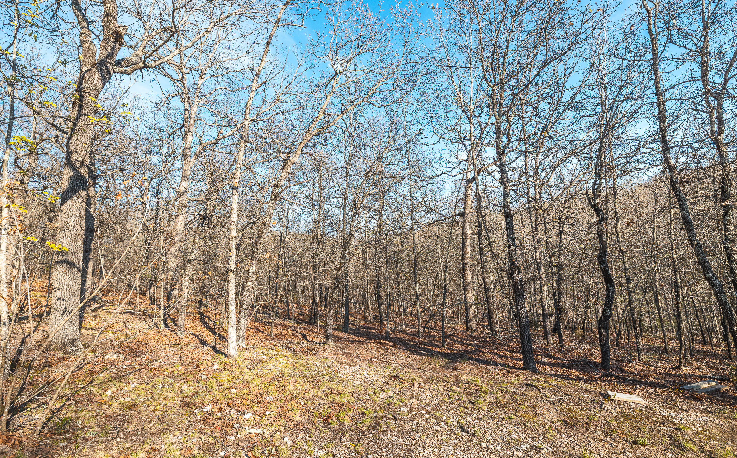 83 Minx Valley Drive Property Photo 19