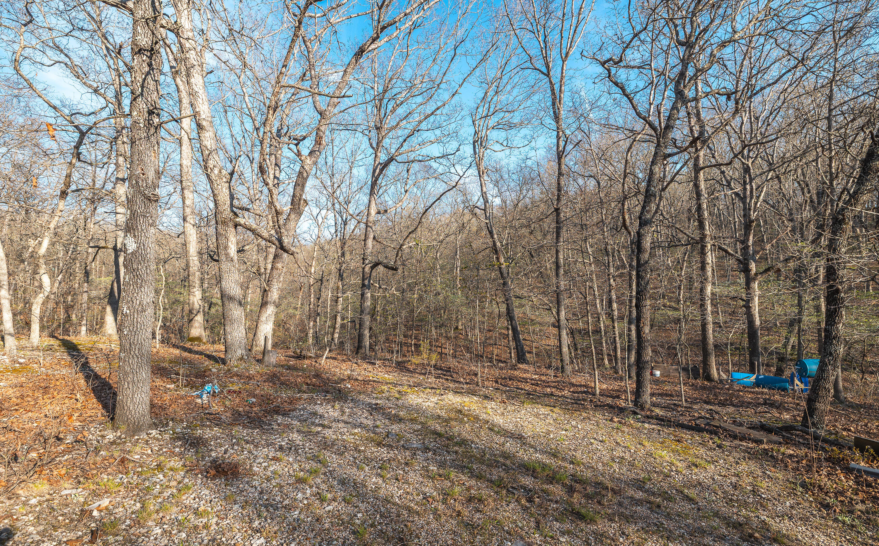 83 Minx Valley Drive Property Photo 20