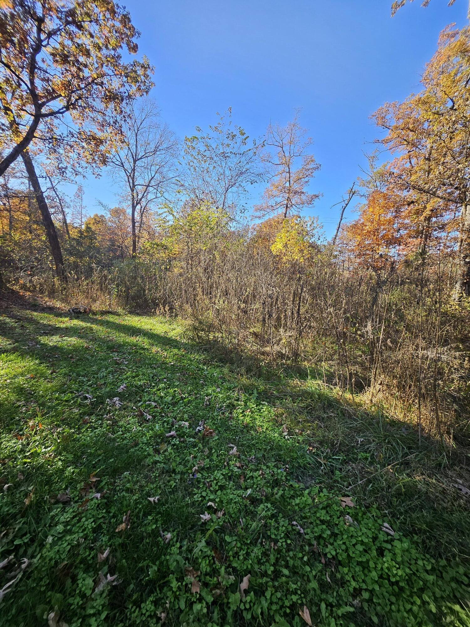 14987 Dunklin Road Property Photo 23