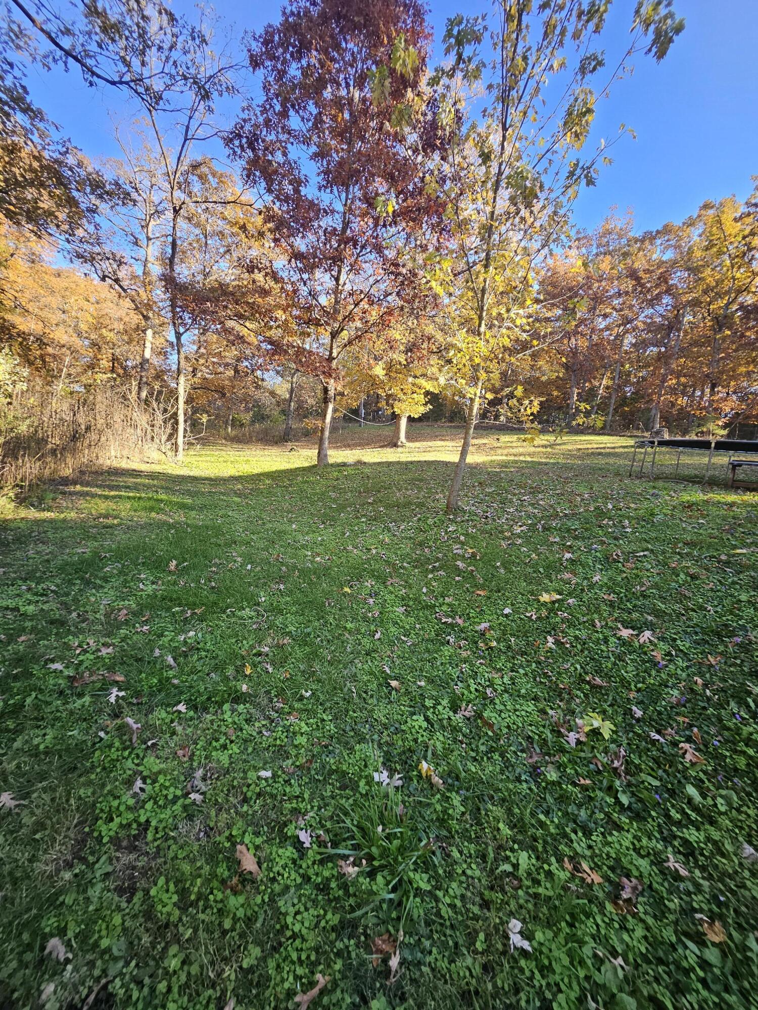 14987 Dunklin Road Property Photo 24