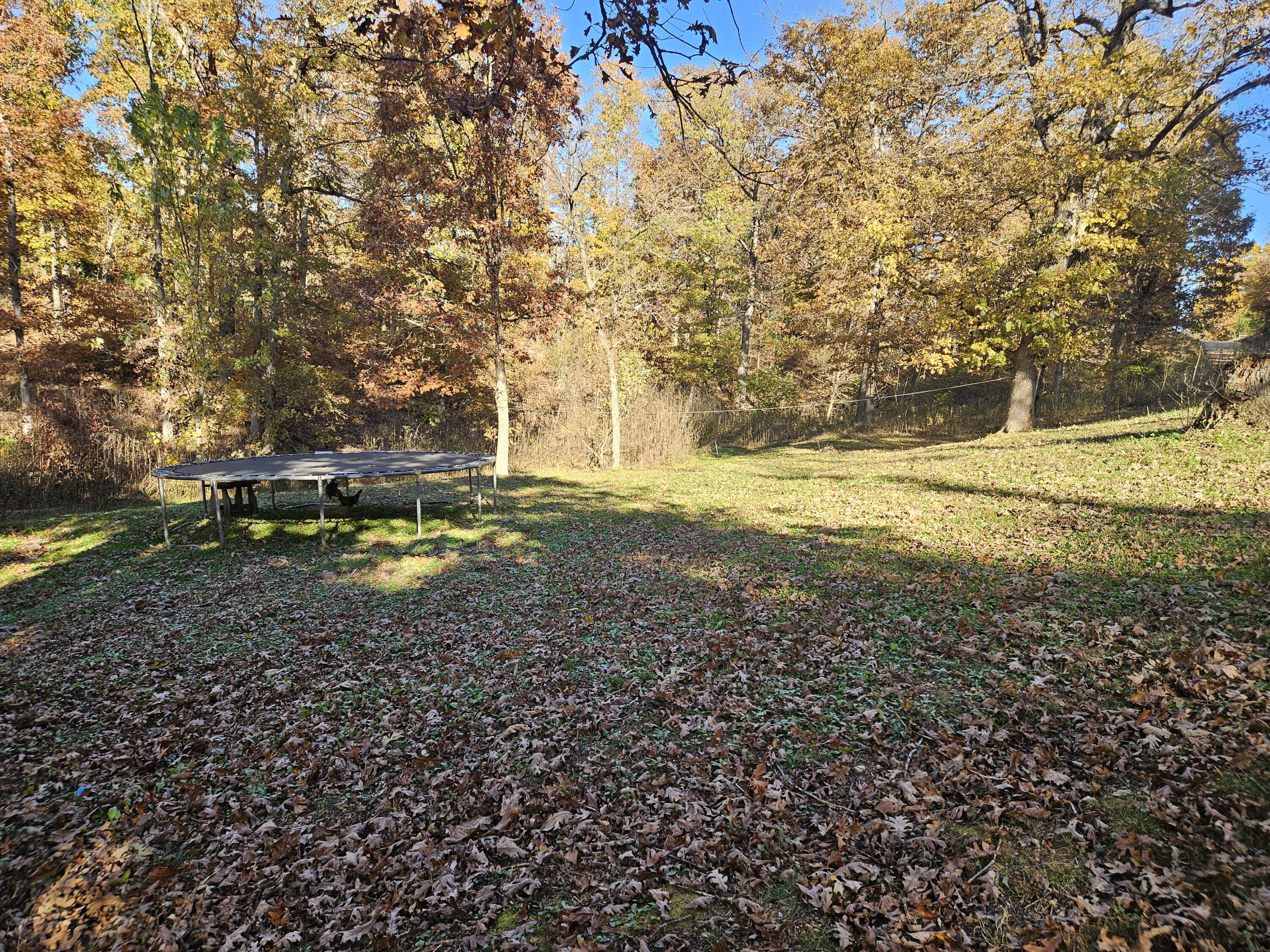 14987 Dunklin Road Property Photo 25