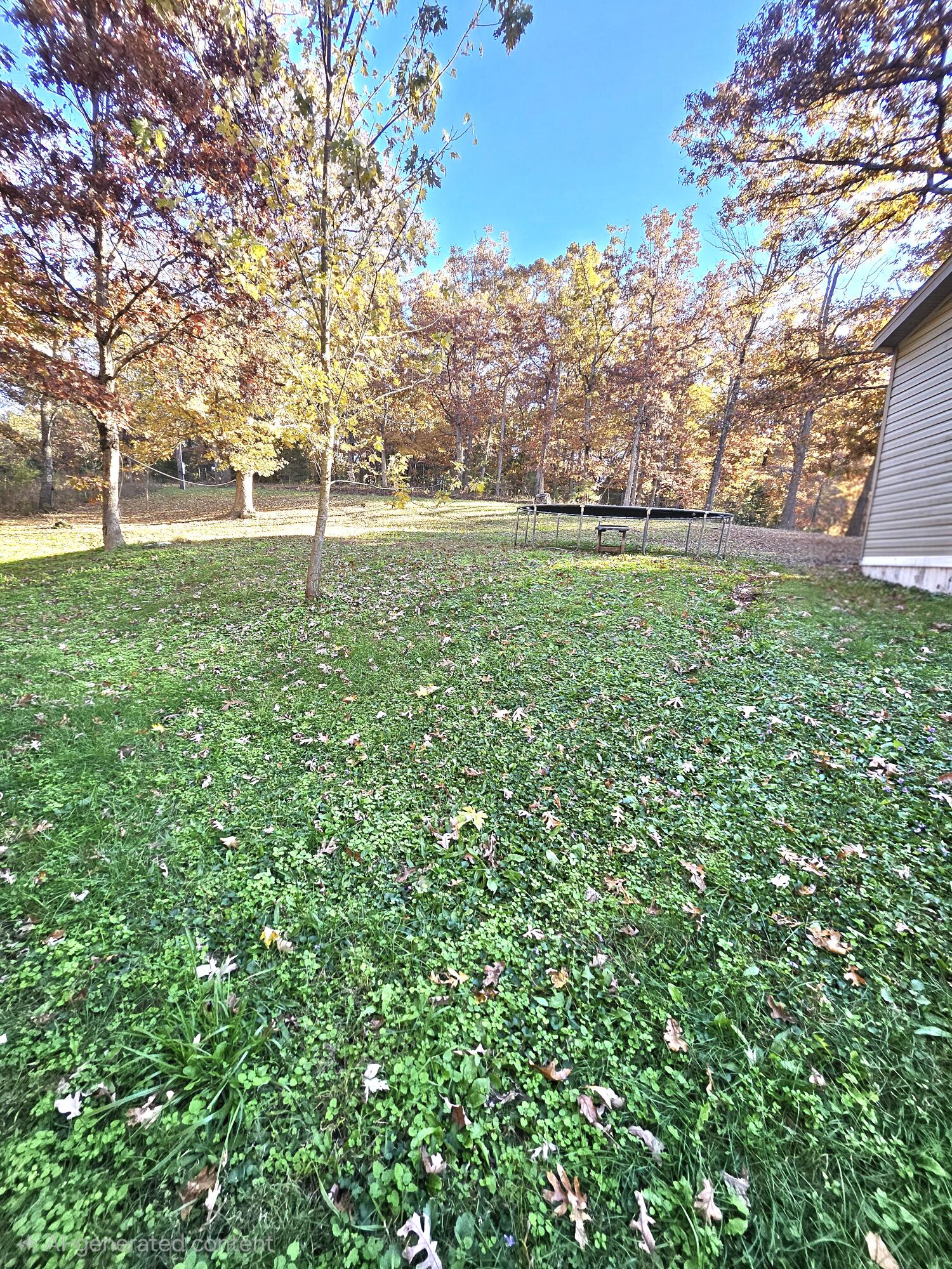 14987 Dunklin Road Property Photo 26