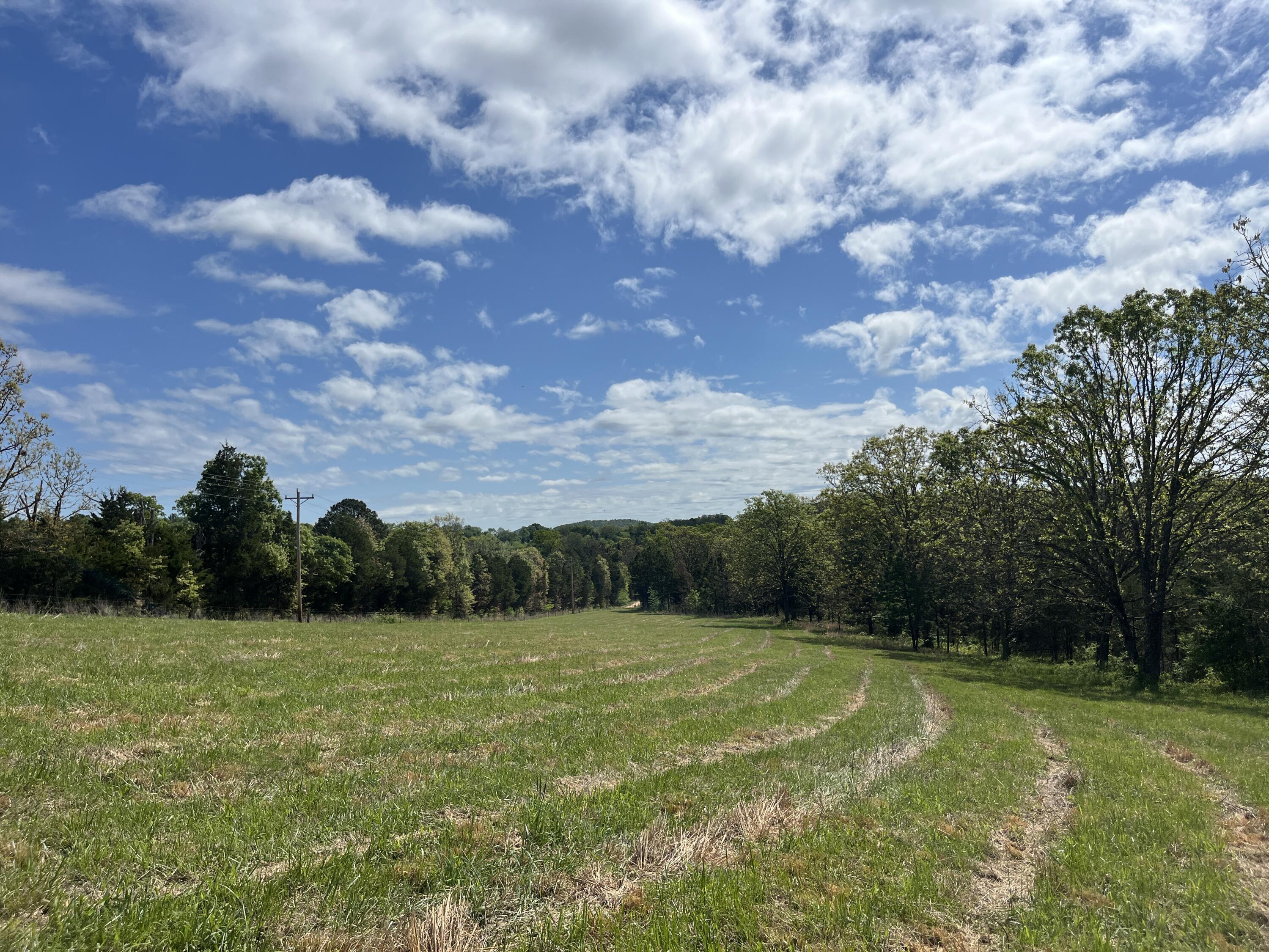 000 County Road 350