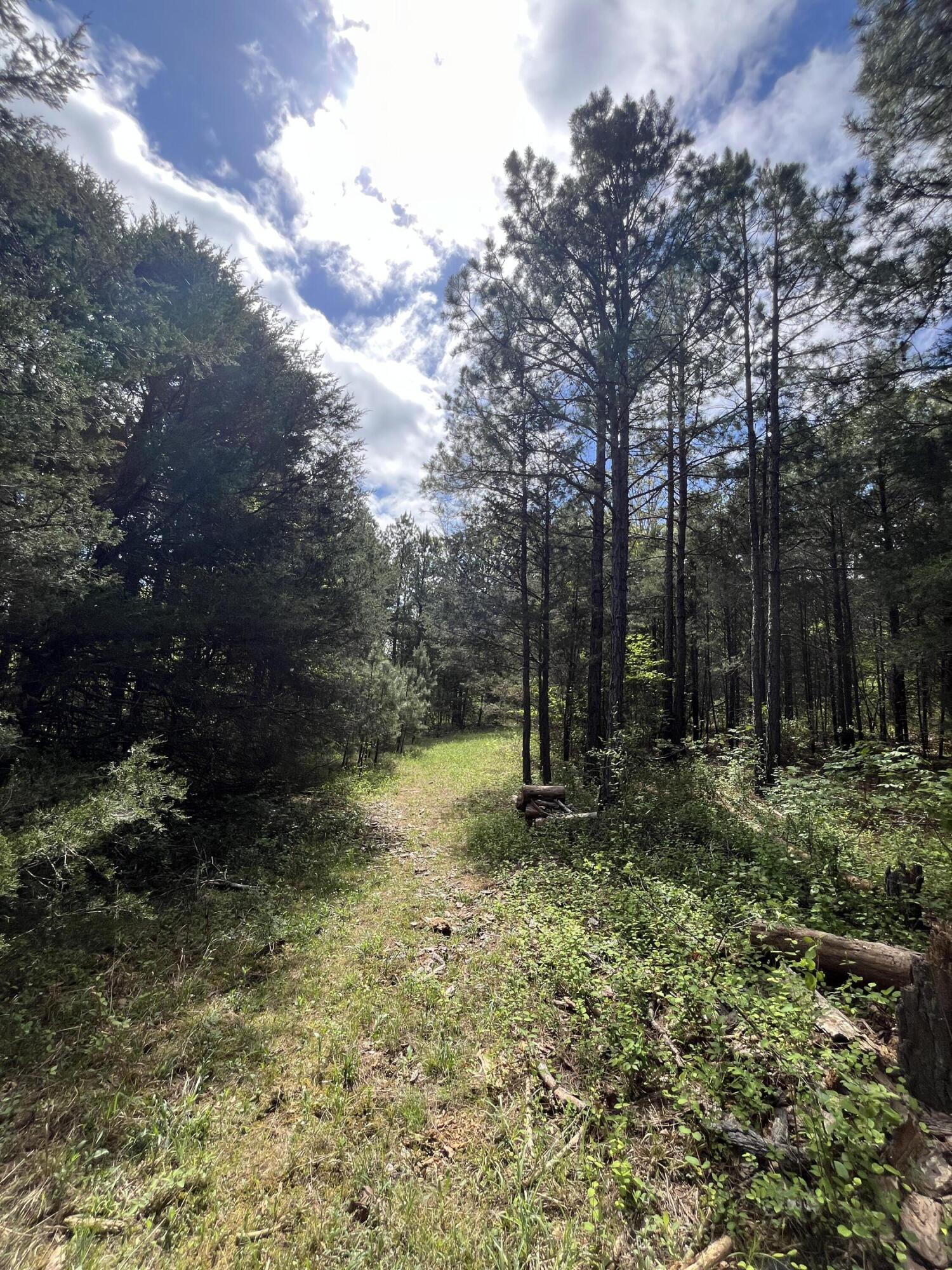 000 County Road 350 Property Photo 6