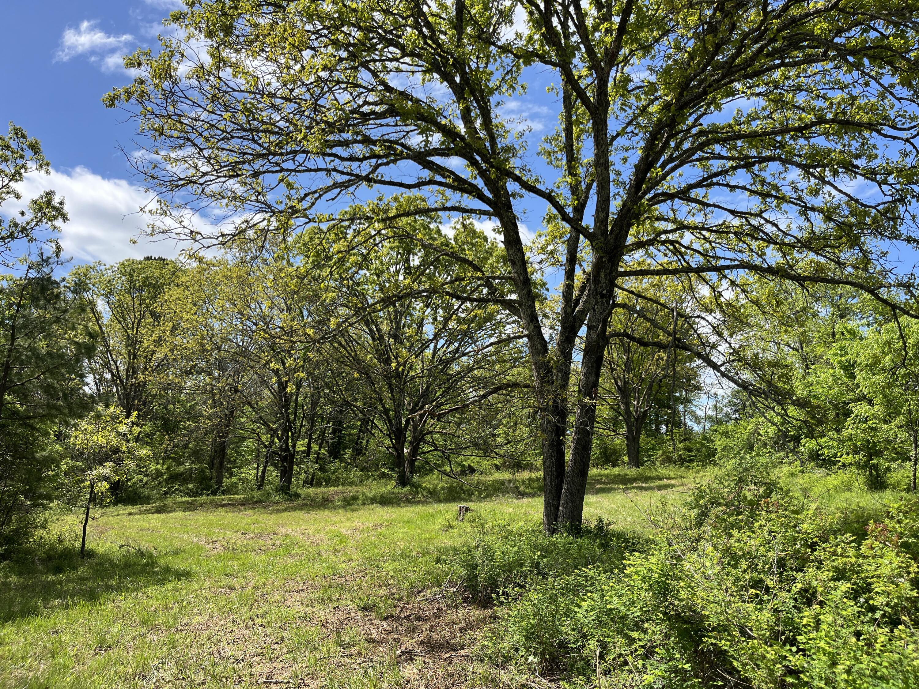 000 County Road 350 Property Photo 10
