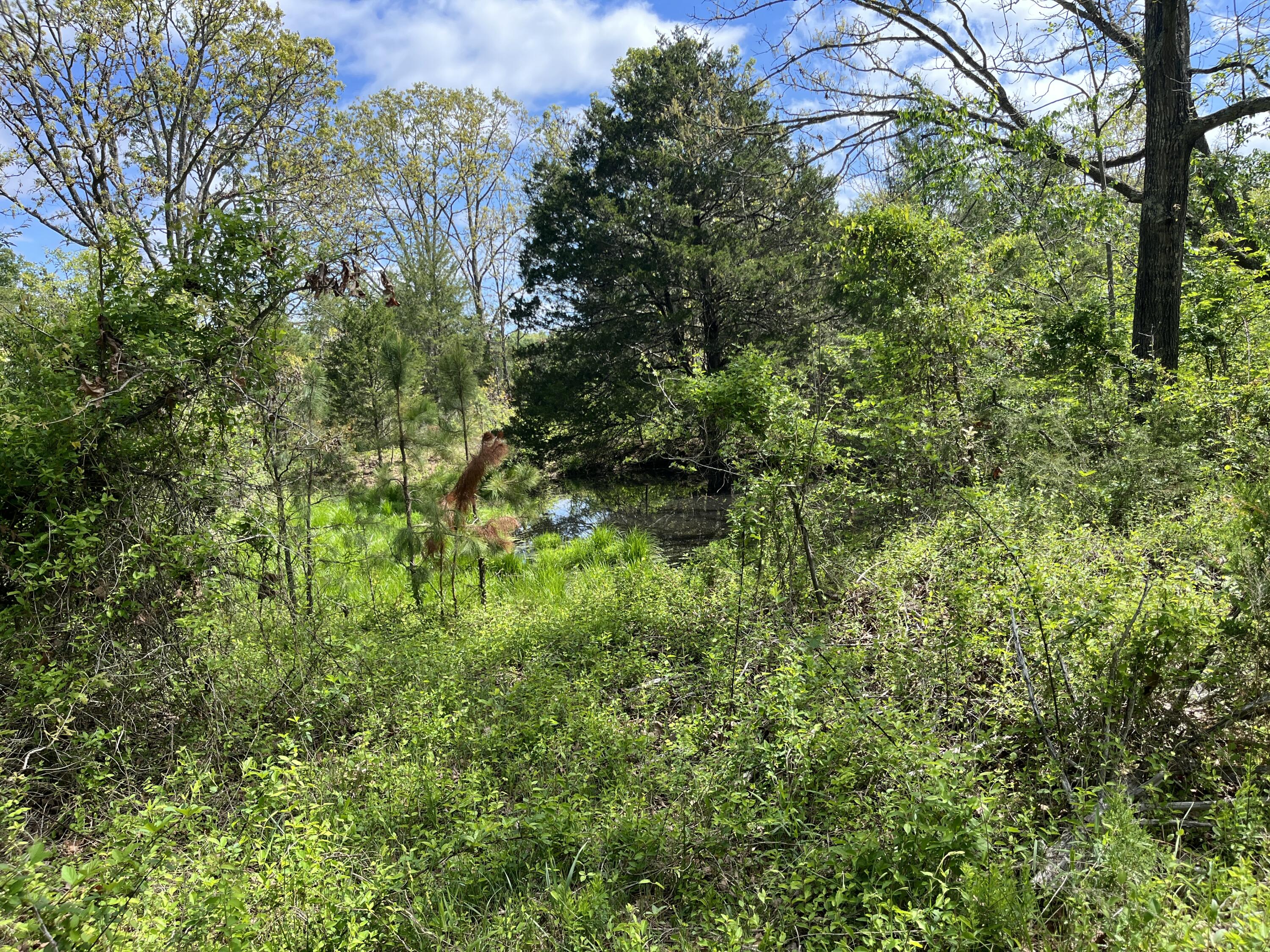 000 County Road 350 Property Photo 17