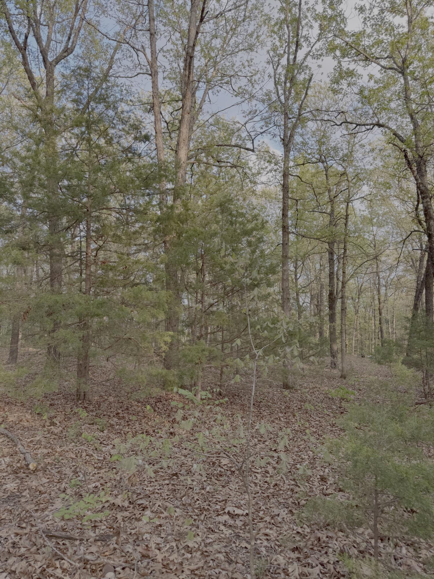 5825 South 2021st Road Property Photo 5
