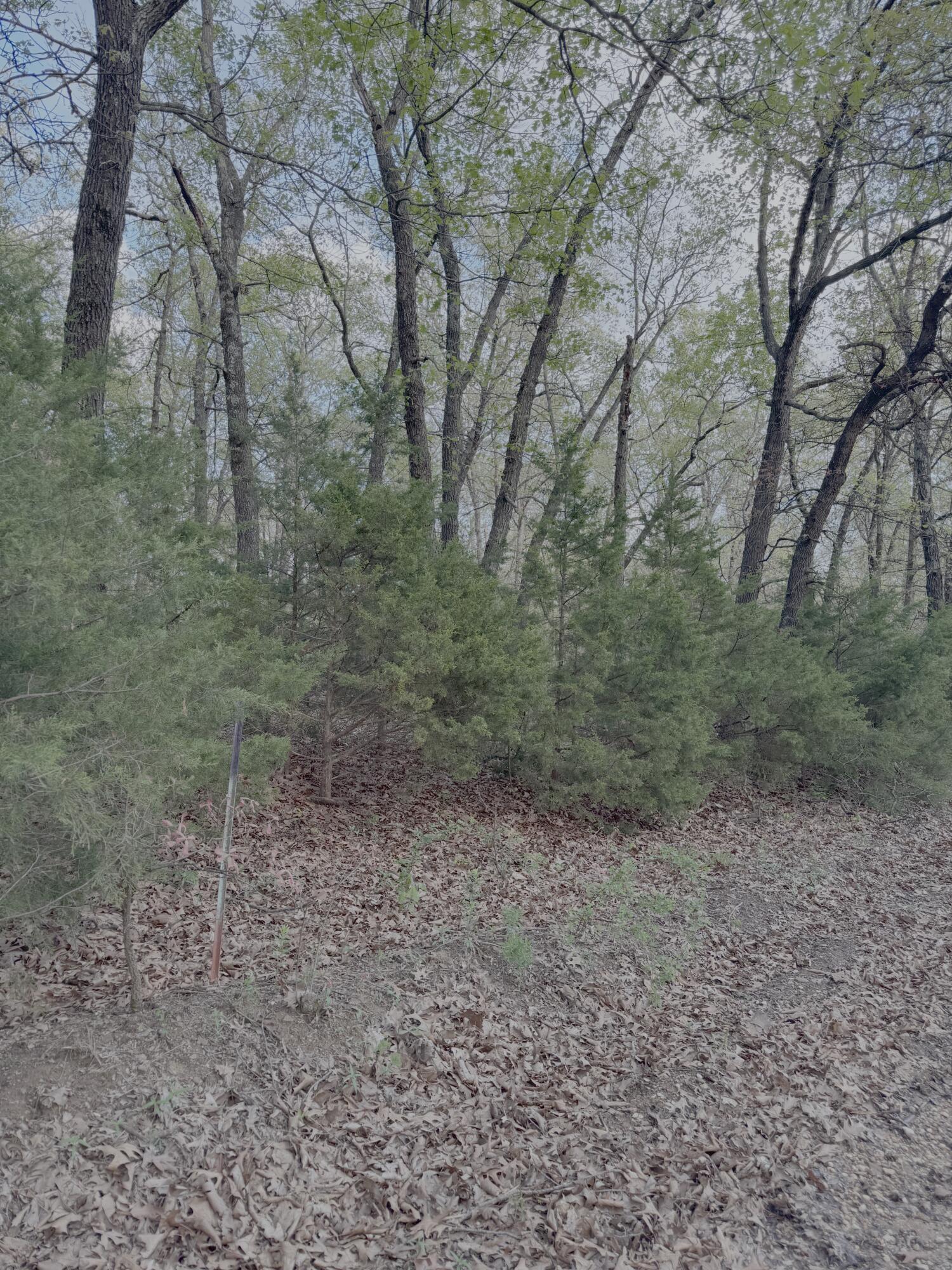 5825 South 2021st Road Property Photo 6