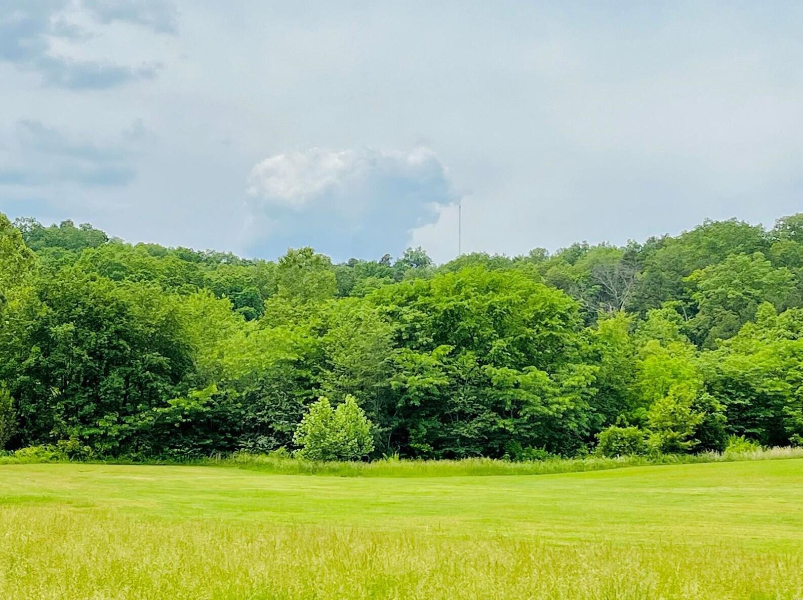 0 Deer Run Plat 12 Lot 18 Property Photo 1