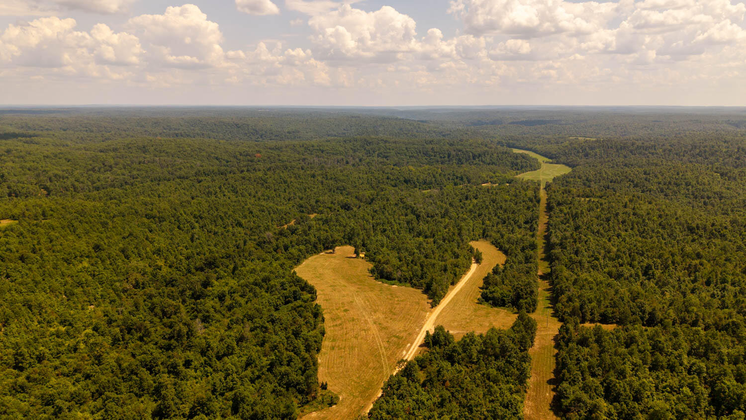 Tbd County Road 443 Property Photo 1