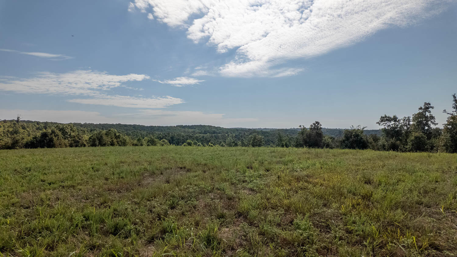 Tbd County Road 443 Property Photo 14