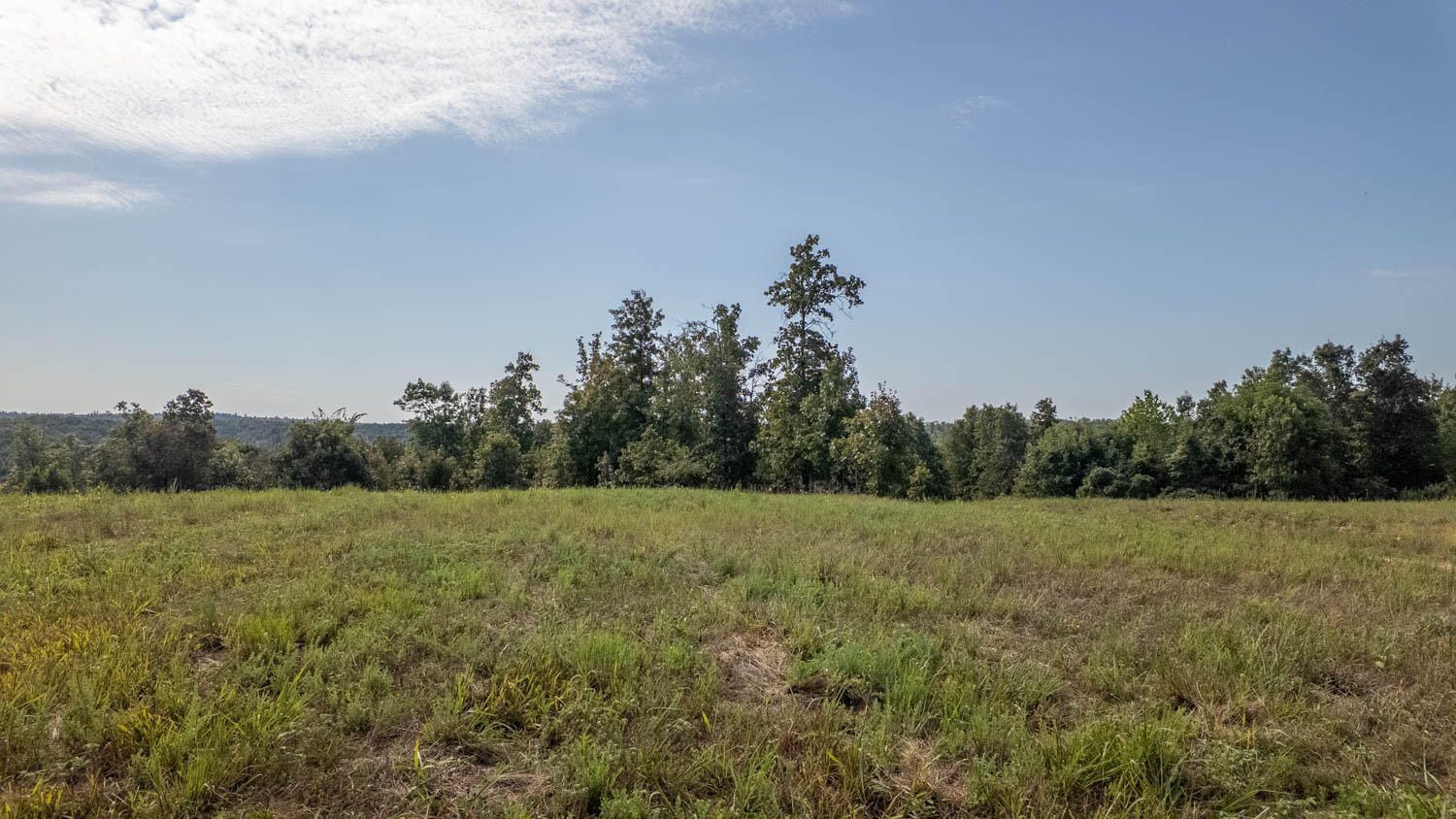Tbd County Road 443 Property Photo 15