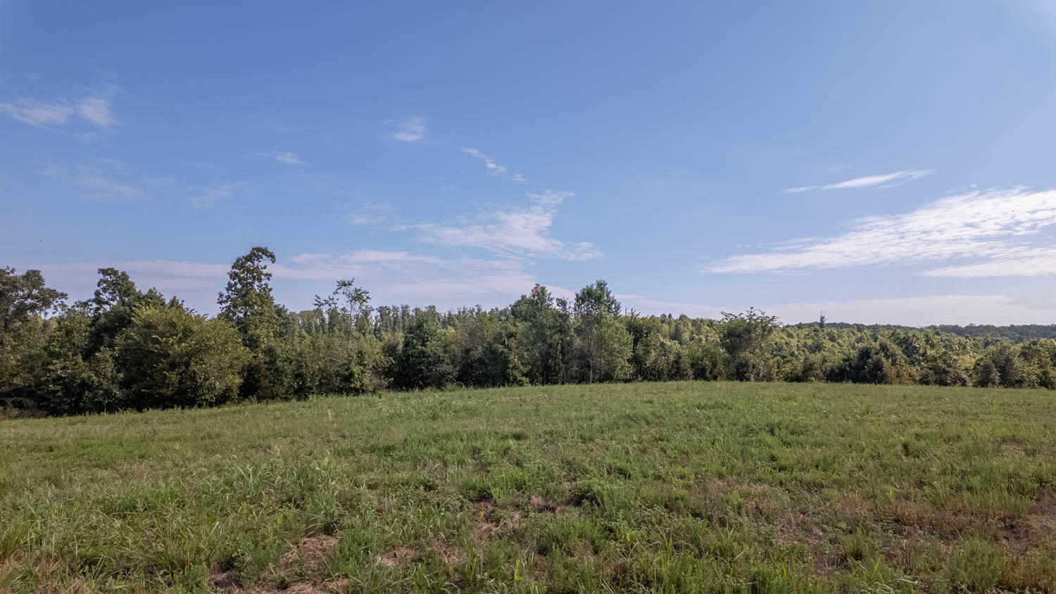 Tbd County Road 443 Property Photo 16