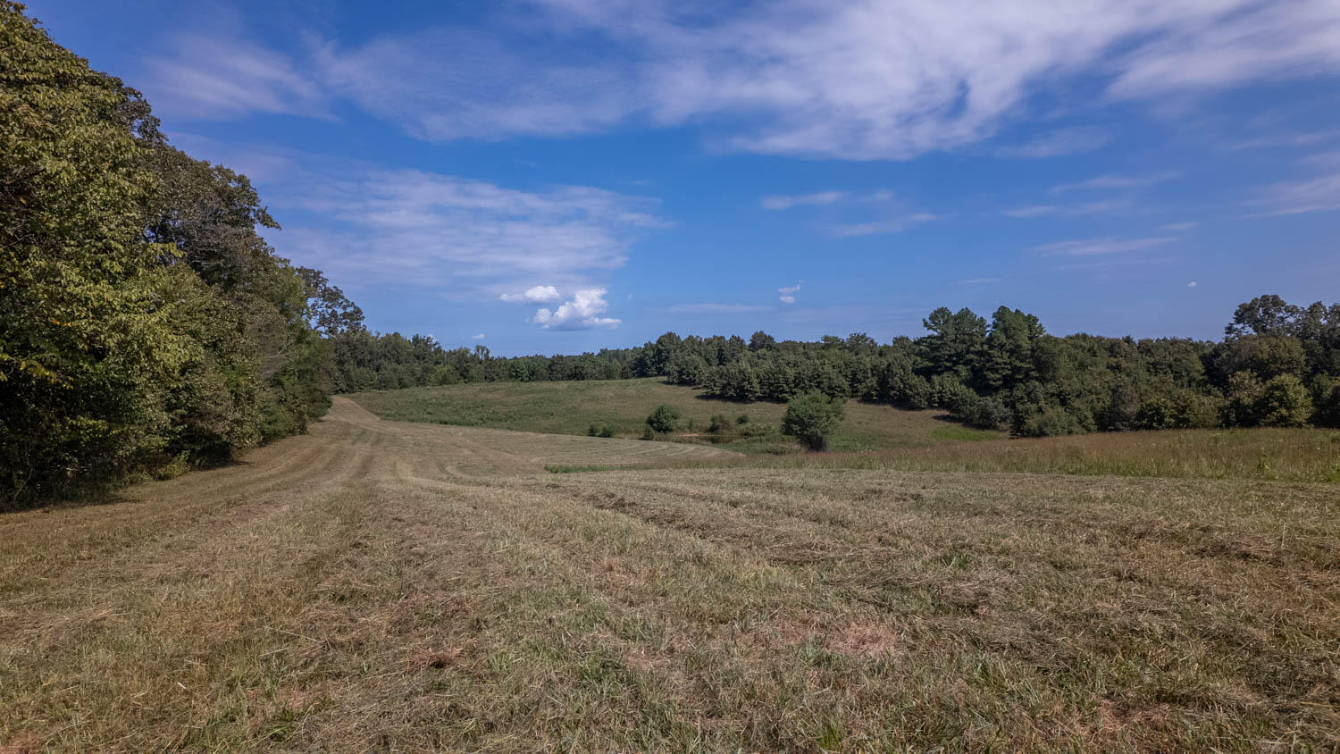 Tbd County Road 443 Property Photo 22