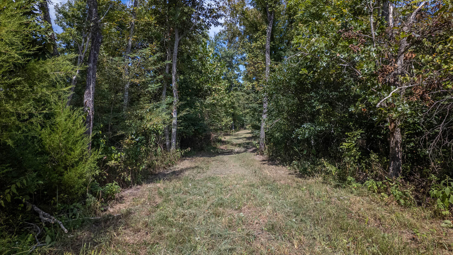 Tbd County Road 443 Property Photo 23