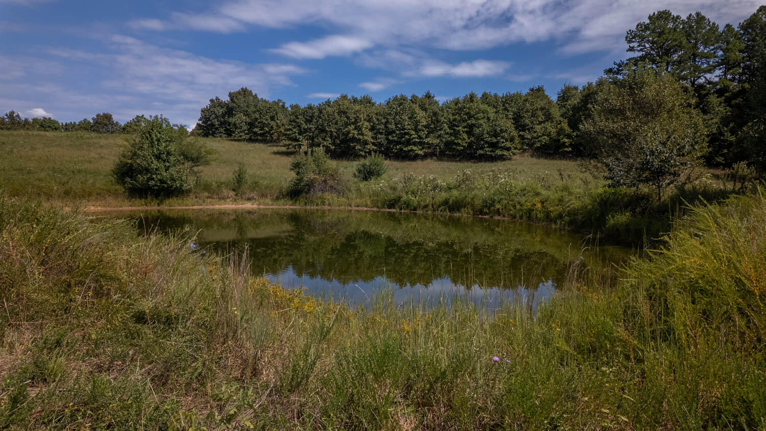 Tbd County Road 443 Property Photo 24