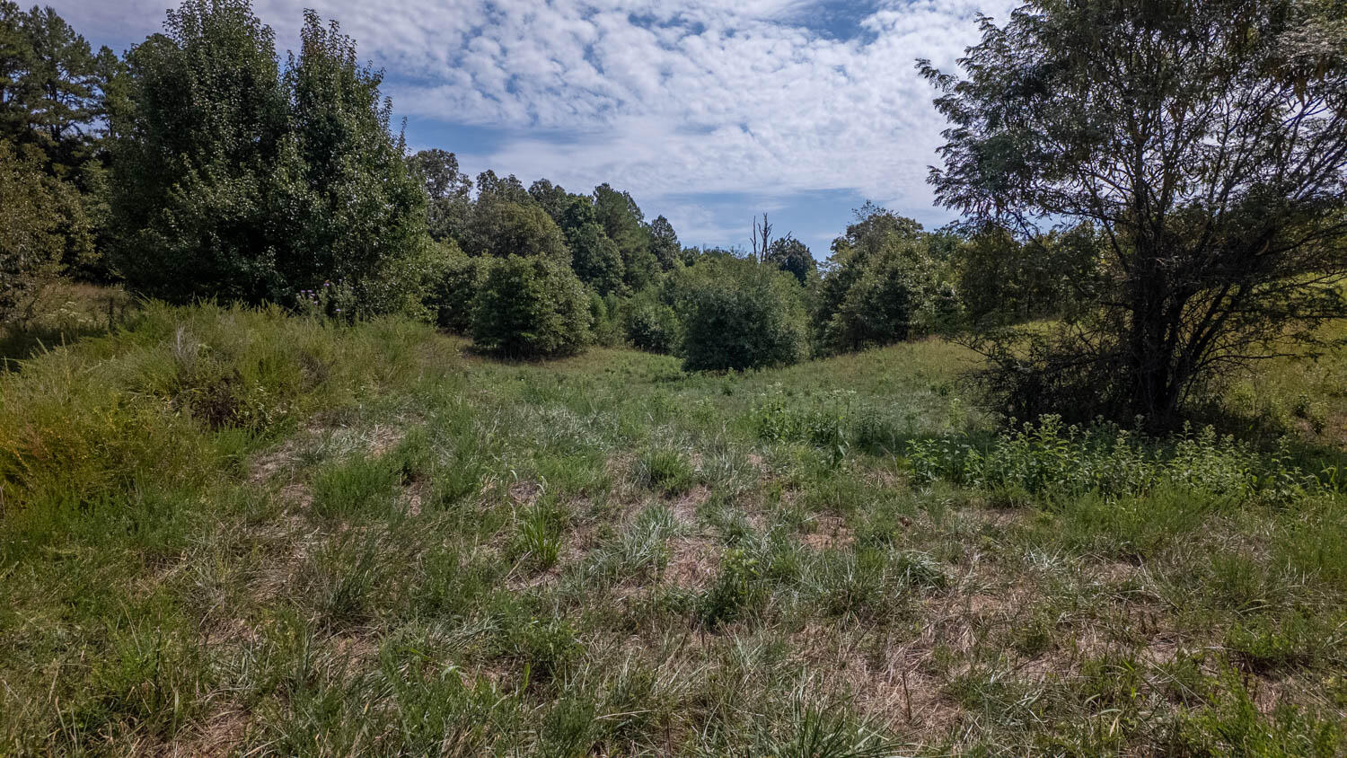 Tbd County Road 443 Property Photo 25