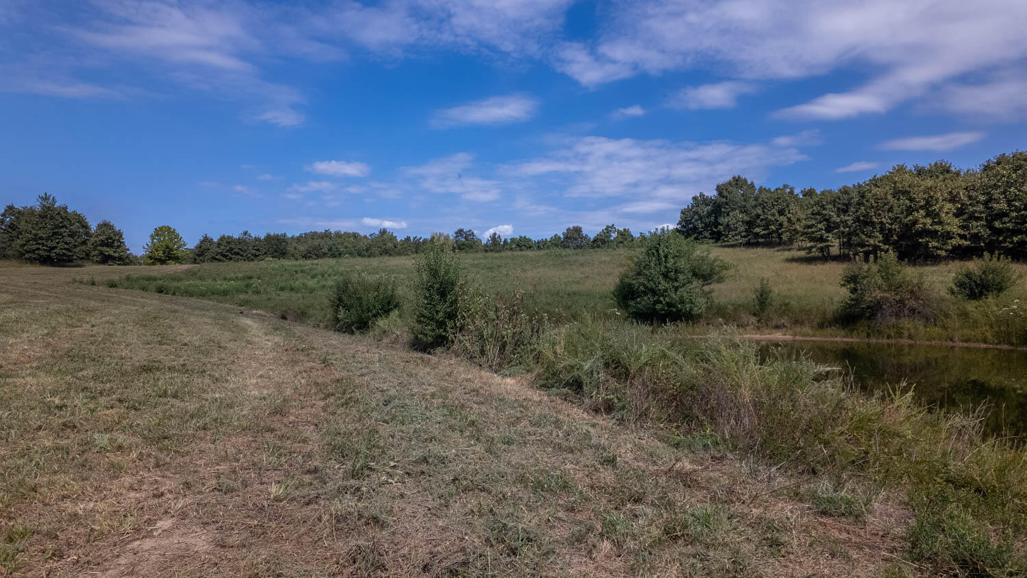 Tbd County Road 443 Property Photo 26