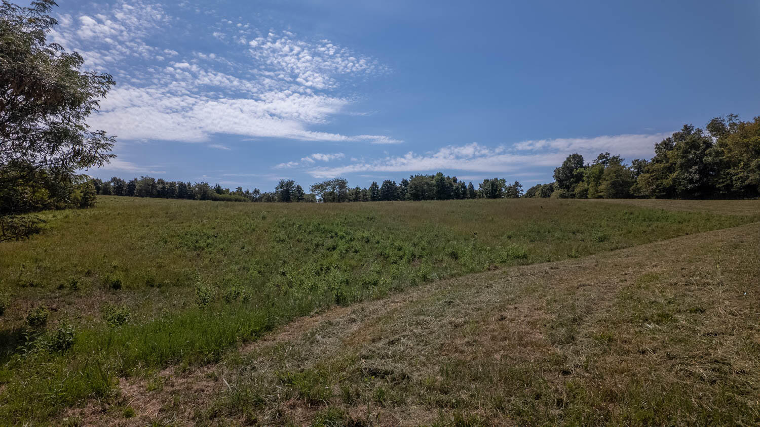 Tbd County Road 443 Property Photo 27