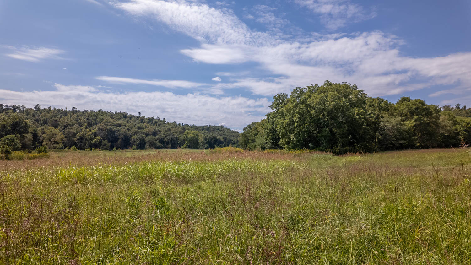 Tbd County Road 443 Property Photo 29