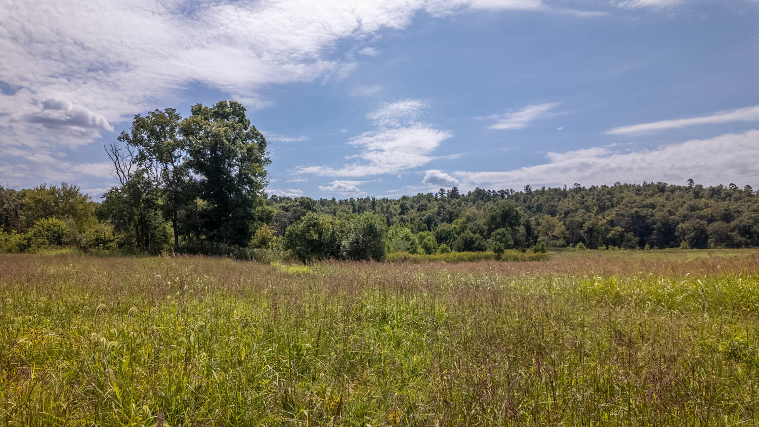 Tbd County Road 443 Property Photo 30