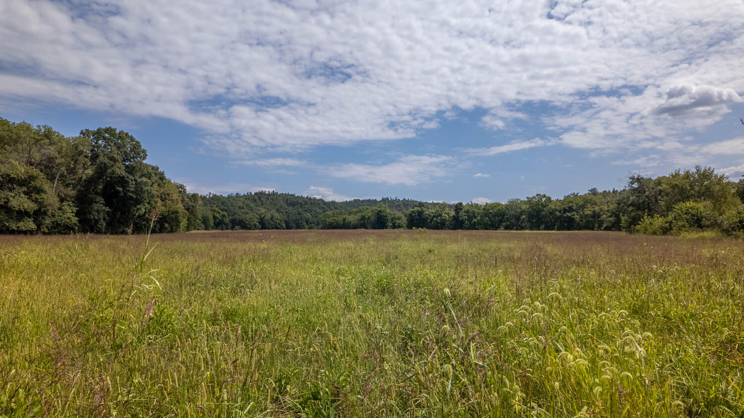 Tbd County Road 443 Property Photo 31