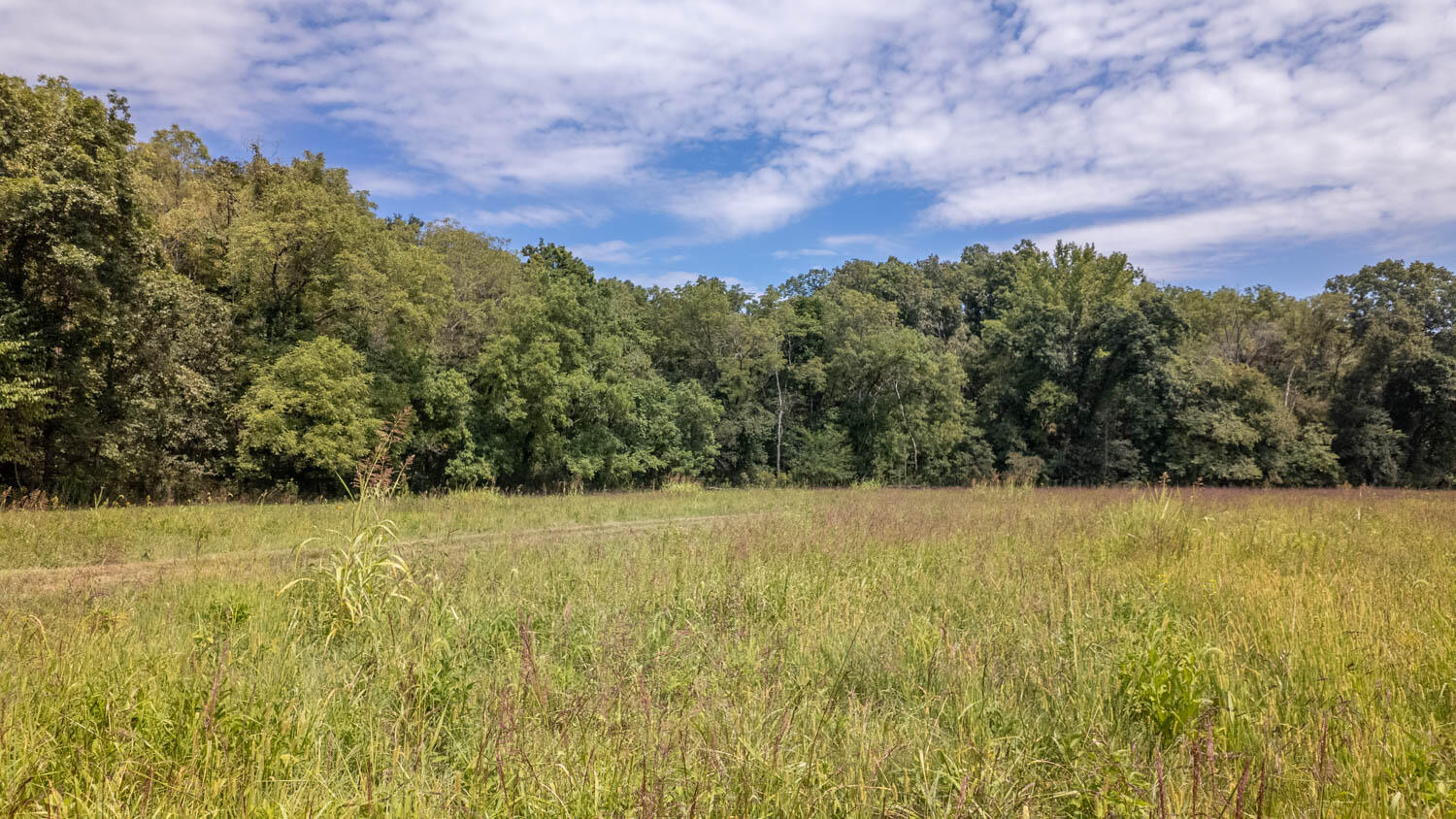 Tbd County Road 443 Property Photo 32