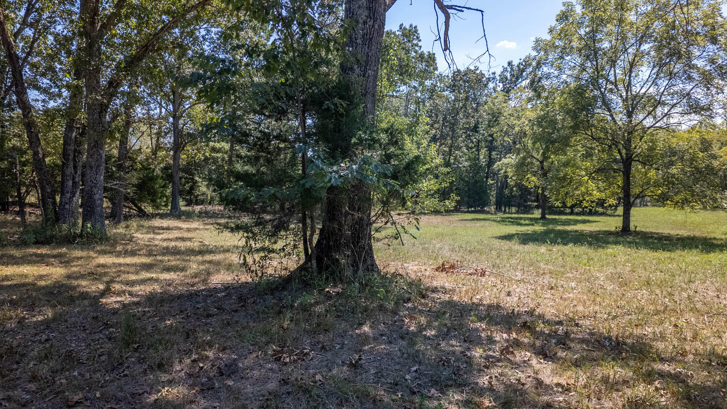 Tbd County Road 443 Property Photo 37