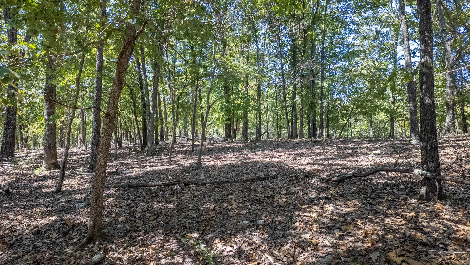 Tbd County Road 443 Property Photo 42