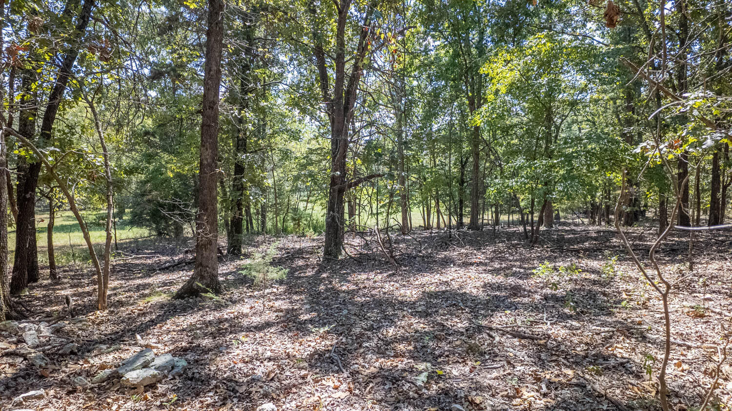 Tbd County Road 443 Property Photo 43