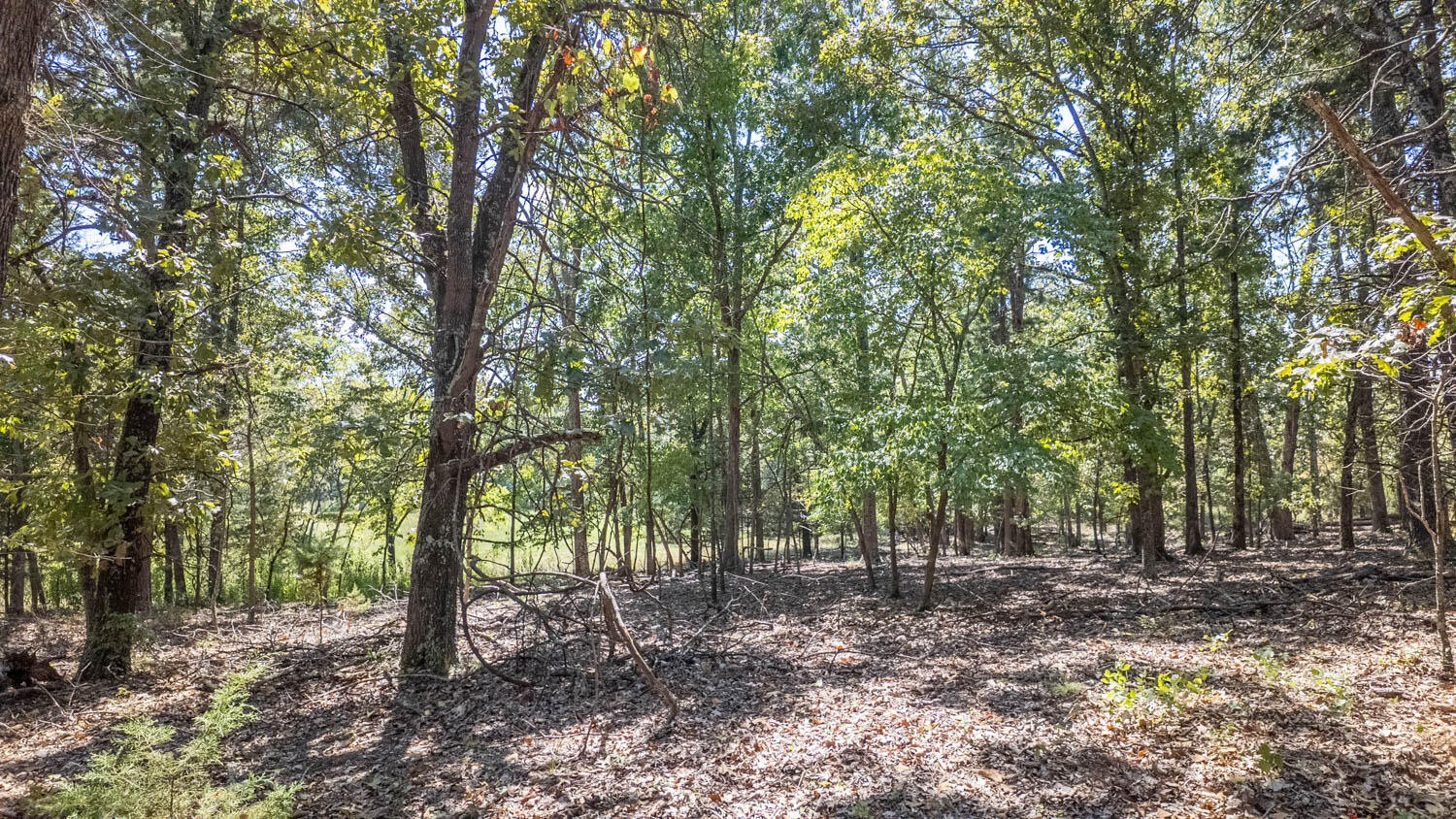 Tbd County Road 443 Property Photo 44