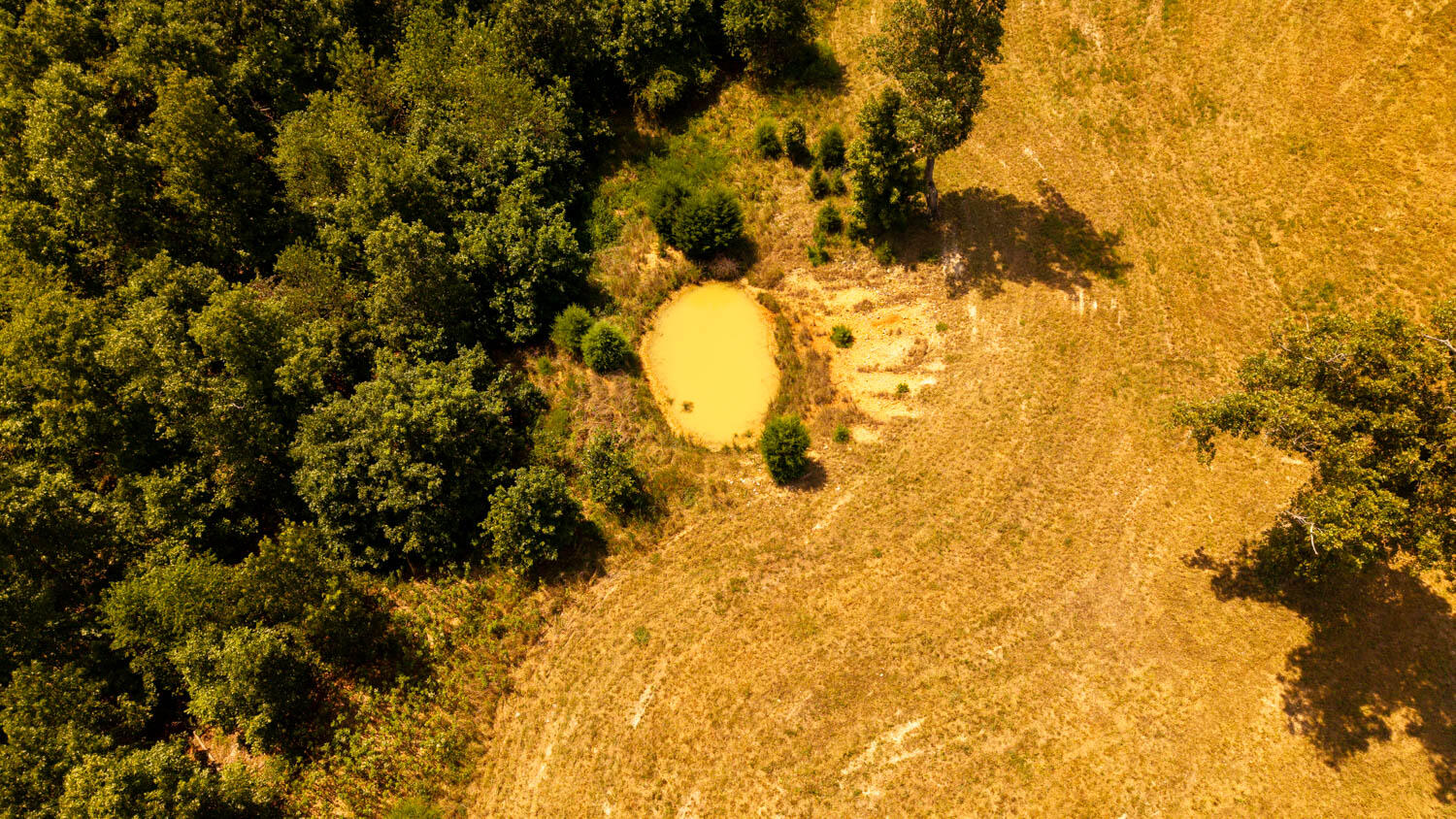 Tbd County Road 443 Property Photo 51