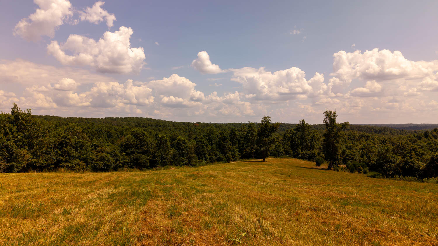 Tbd County Road 443 Property Photo 53