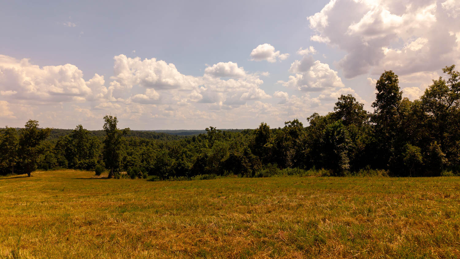 Tbd County Road 443 Property Photo 54