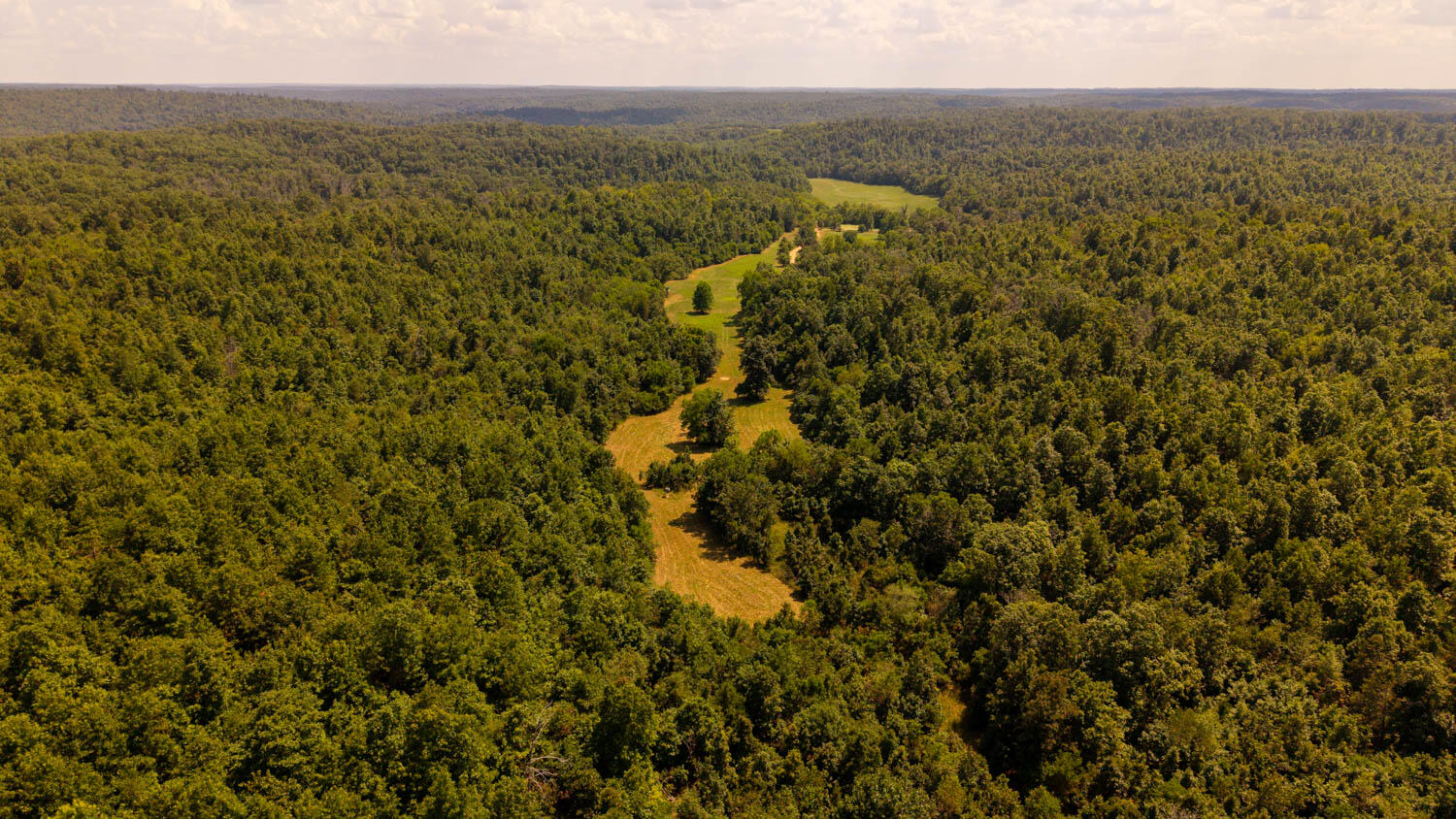 Tbd County Road 443 Property Photo 56